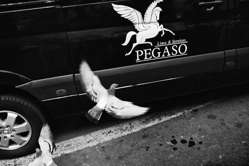 pegaso-auto